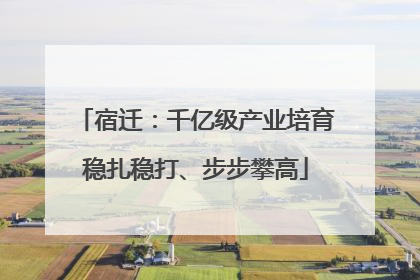 宿迁：千亿级产业培育稳扎稳打、步步攀高