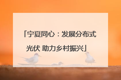 宁夏同心：发展分布式光伏 助力乡村振兴