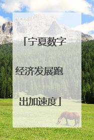 宁夏数字经济发展跑出加速度