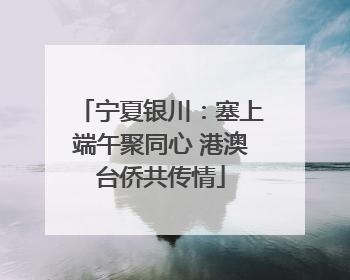宁夏银川：塞上端午聚同心 港澳台侨共传情