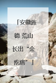 安徽旌德 荒山长出“金疙瘩”