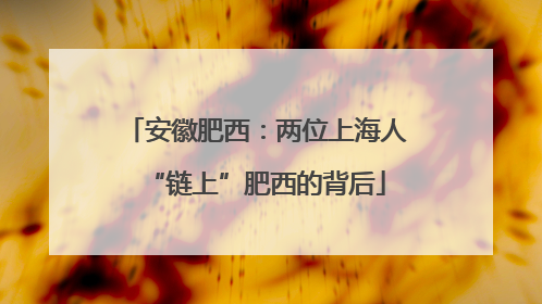 安徽肥西：两位上海人“链上”肥西的背后