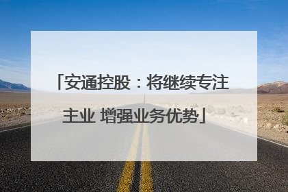 安通控股：将继续专注主业 增强业务优势