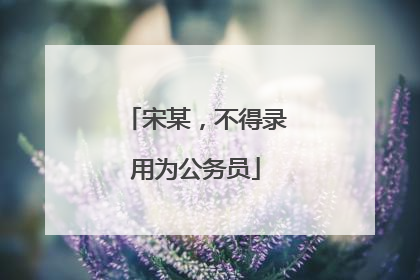 宋某，不得录用为公务员