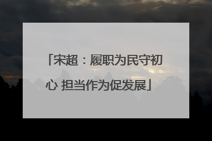 宋超：履职为民守初心 担当作为促发展