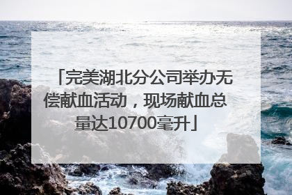 完美湖北分公司举办无偿献血活动，现场献血总量达10700毫升