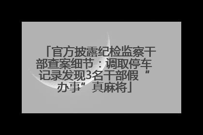 官方披露纪检监察干部查案细节：调取停车记录发现3名干部假“办事”真麻将