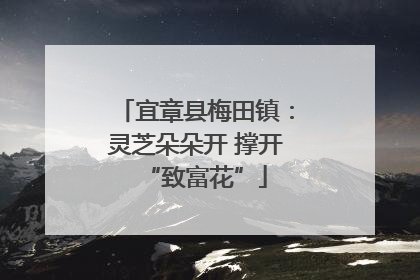 宜章县梅田镇：灵芝朵朵开 撑开“致富花”