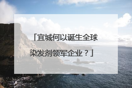 宜城何以诞生全球染发剂领军企业？