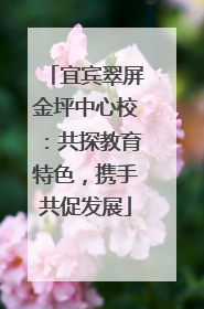 宜宾翠屏金坪中心校：共探教育特色，携手共促发展
