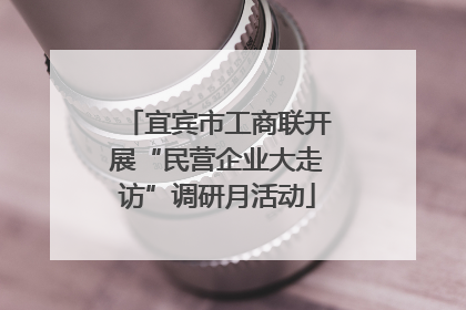 宜宾市工商联开展“民营企业大走访”调研月活动