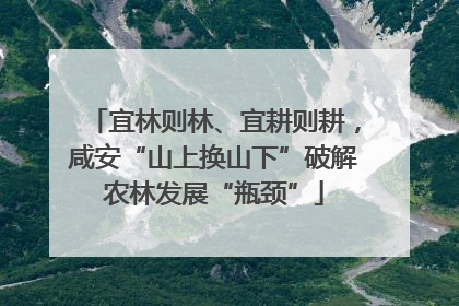 宜林则林、宜耕则耕，咸安“山上换山下”破解农林发展“瓶颈”