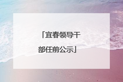 宜春领导干部任前公示