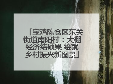 宝鸡陈仓区东关街道南阳村：大棚经济结硕果 绘就乡村振兴新图景