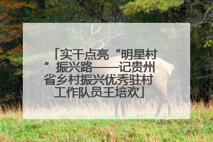 实干点亮“明星村”振兴路——记贵州省乡村振兴优秀驻村工作队员王培欢