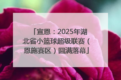宣恩：2025年湖北省小篮球超级联赛（恩施赛区）圆满落幕