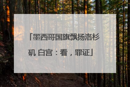 墨西哥国旗飘扬洛杉矶 白宫：看，罪证