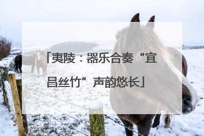 夷陵：器乐合奏“宜昌丝竹”声韵悠长