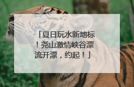 夏日玩水新地标！尧山激情峡谷漂流开漂，约起！