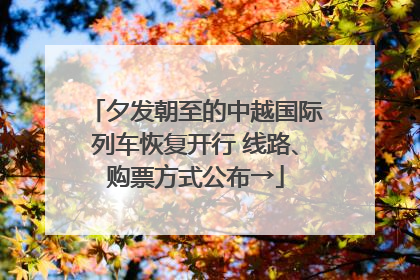 夕发朝至的中越国际列车恢复开行 线路、购票方式公布→