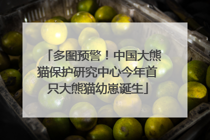 多图预警！中国大熊猫保护研究中心今年首只大熊猫幼崽诞生