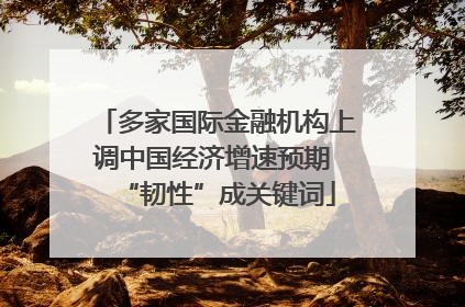多家国际金融机构上调中国经济增速预期 “韧性”成关键词