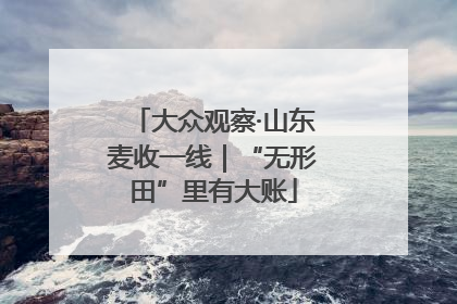 大众观察·山东麦收一线｜“无形田”里有大账