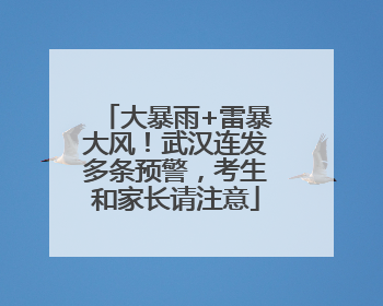 大暴雨+雷暴大风！武汉连发多条预警，考生和家长请注意
