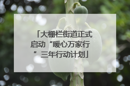 大栅栏街道正式启动“暖心万家行”三年行动计划