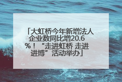 大虹桥今年新增法人企业数同比增20.6%！“走进虹桥 走进进博”活动举办
