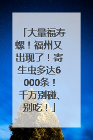 大量福寿螺！福州又出现了！寄生虫多达6000条！千万别碰、别吃！