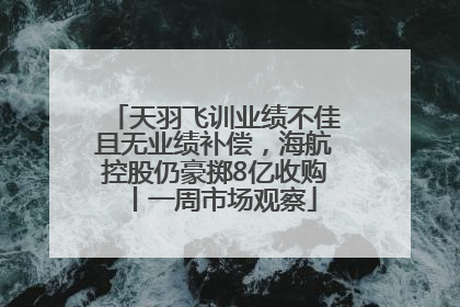 天羽飞训业绩不佳且无业绩补偿，海航控股仍豪掷8亿收购丨一周市场观察
