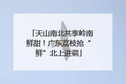 天山南北共享岭南鲜甜！广东荔枝抢“鲜”北上进疆