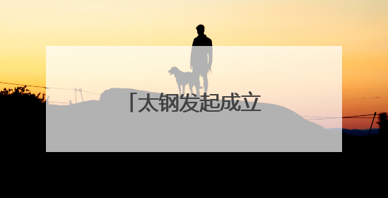 太钢发起成立船舶生态联盟
