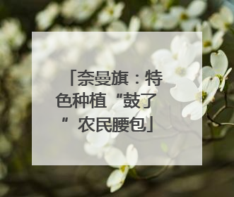 奈曼旗：特色种植“鼓了”农民腰包