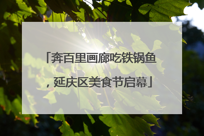 奔百里画廊吃铁锅鱼，延庆区美食节启幕