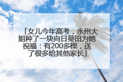 女儿今年高考，永州大姐种了一块向日葵田为她祝福：有200多棵，送了很多给其他家长