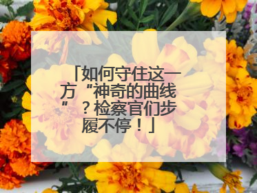 如何守住这一方“神奇的曲线”？检察官们步履不停！