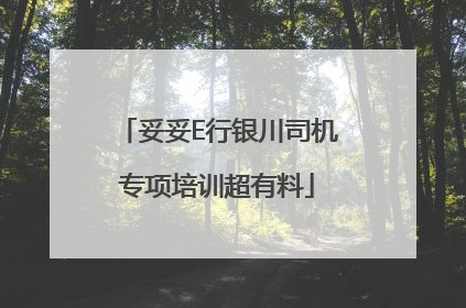 妥妥E行银川司机专项培训超有料