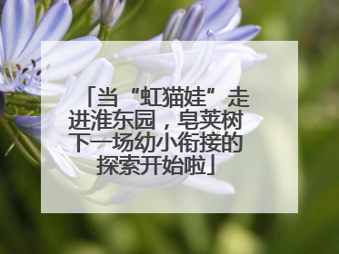当“虹猫娃”走进淮东园，皂荚树下一场幼小衔接的探索开始啦