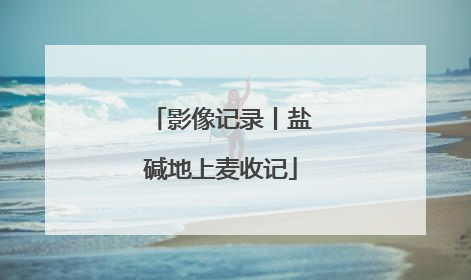 影像记录丨盐碱地上麦收记