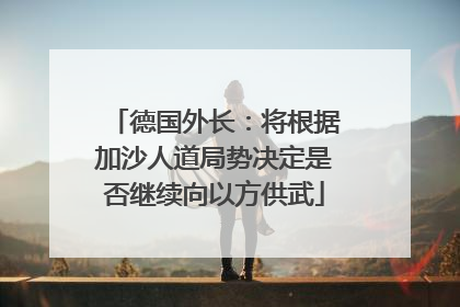 德国外长：将根据加沙人道局势决定是否继续向以方供武