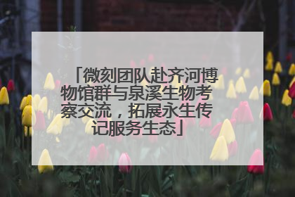 微刻团队赴齐河博物馆群与泉溪生物考察交流，拓展永生传记服务生态