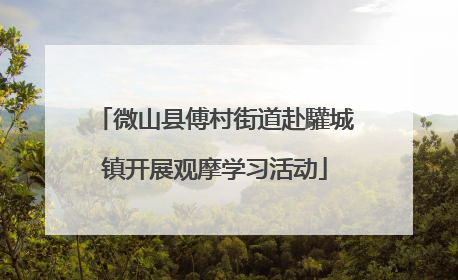 微山县傅村街道赴驩城镇开展观摩学习活动