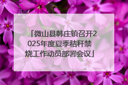 微山县韩庄镇召开2025年度夏季秸秆禁烧工作动员部署会议