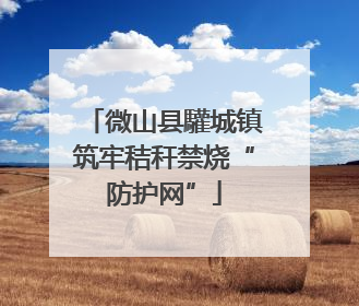 微山县驩城镇筑牢秸秆禁烧“防护网”