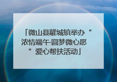微山县驩城镇举办“浓情端午·圆梦微心愿”爱心帮扶活动