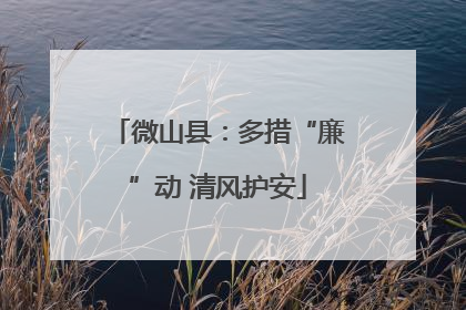 微山县：多措“廉”动 清风护安