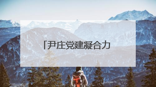 尹庄党建凝合力 联建议事促振兴