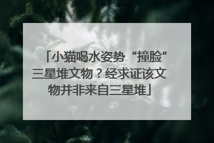 小猫喝水姿势“撞脸”三星堆文物？经求证该文物并非来自三星堆